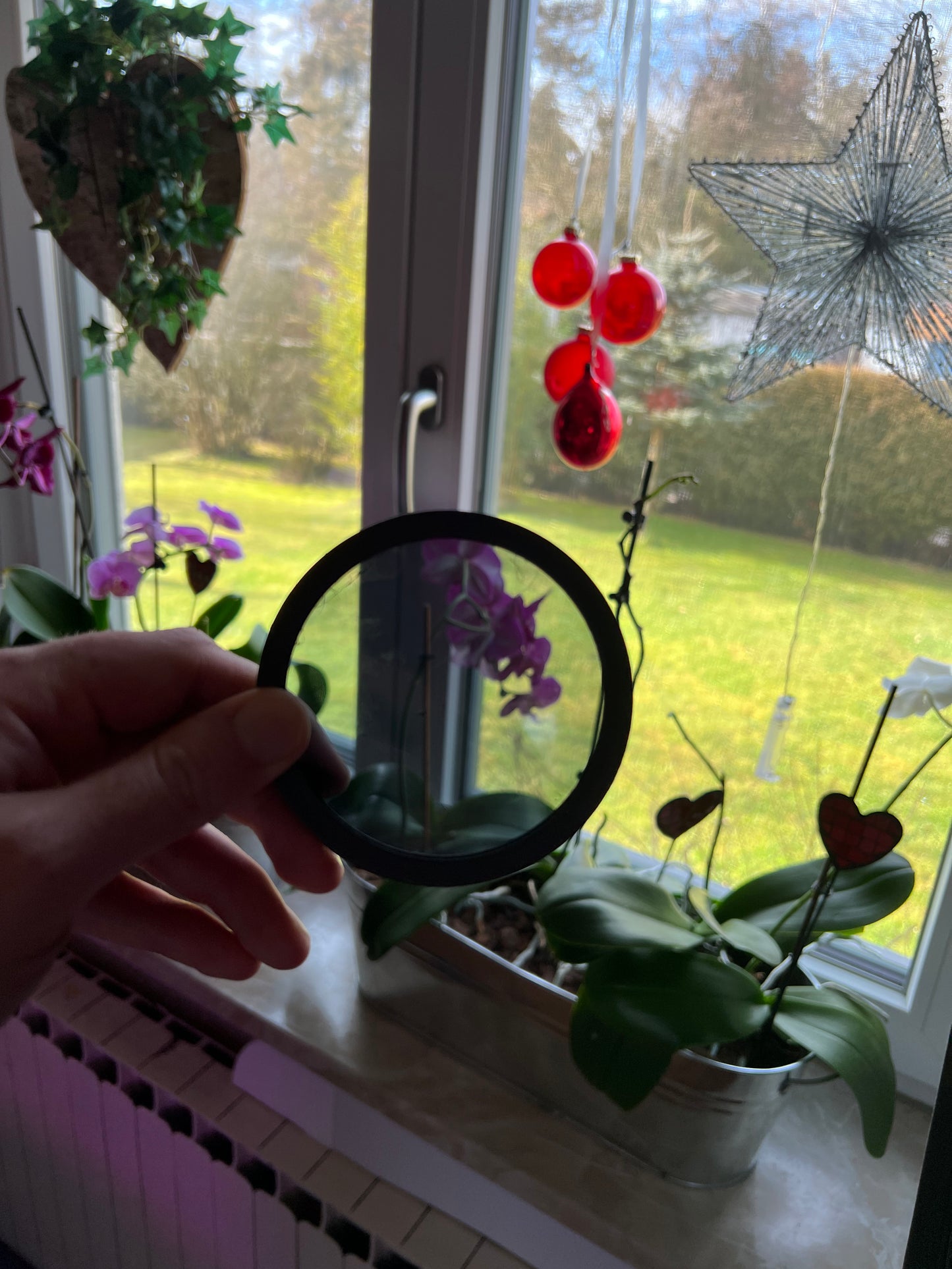 Linsen S10/FM12 Durchsichtig / Farbig