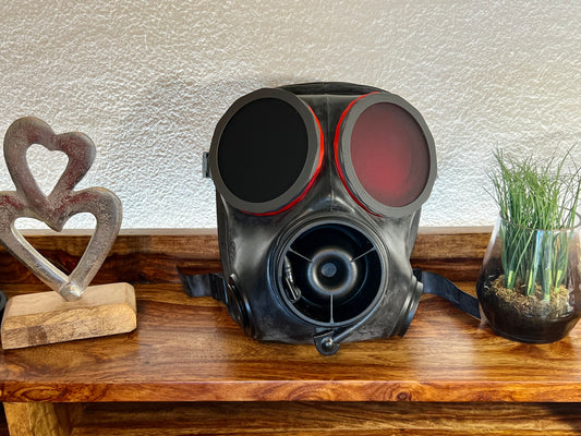 Linsen S10/FM12 Matt