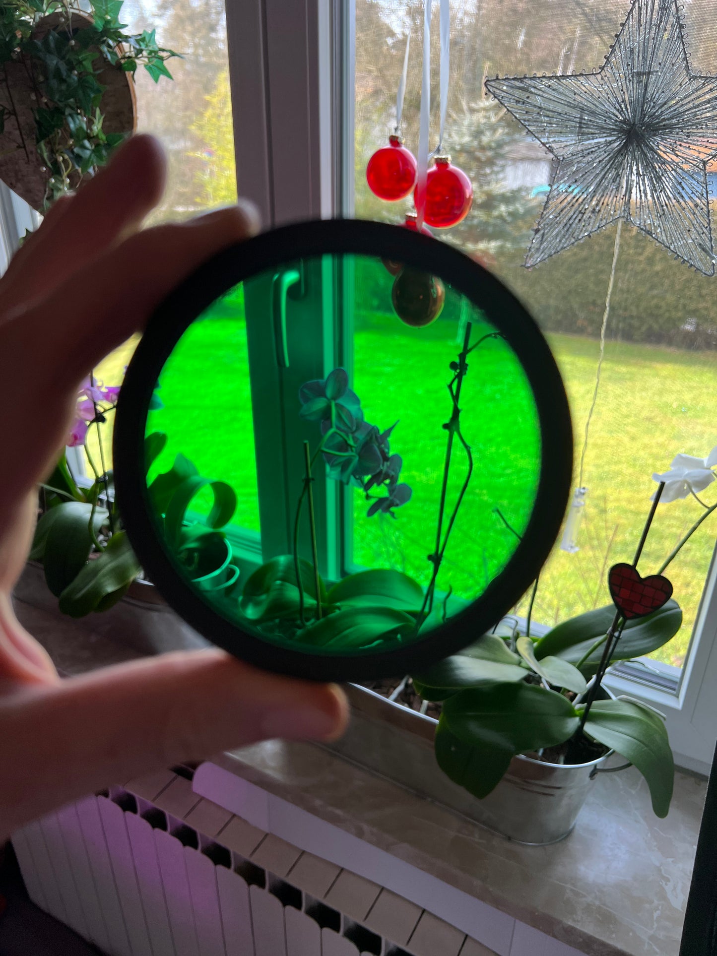 Lenses S10/FM12 Transparent / Colored