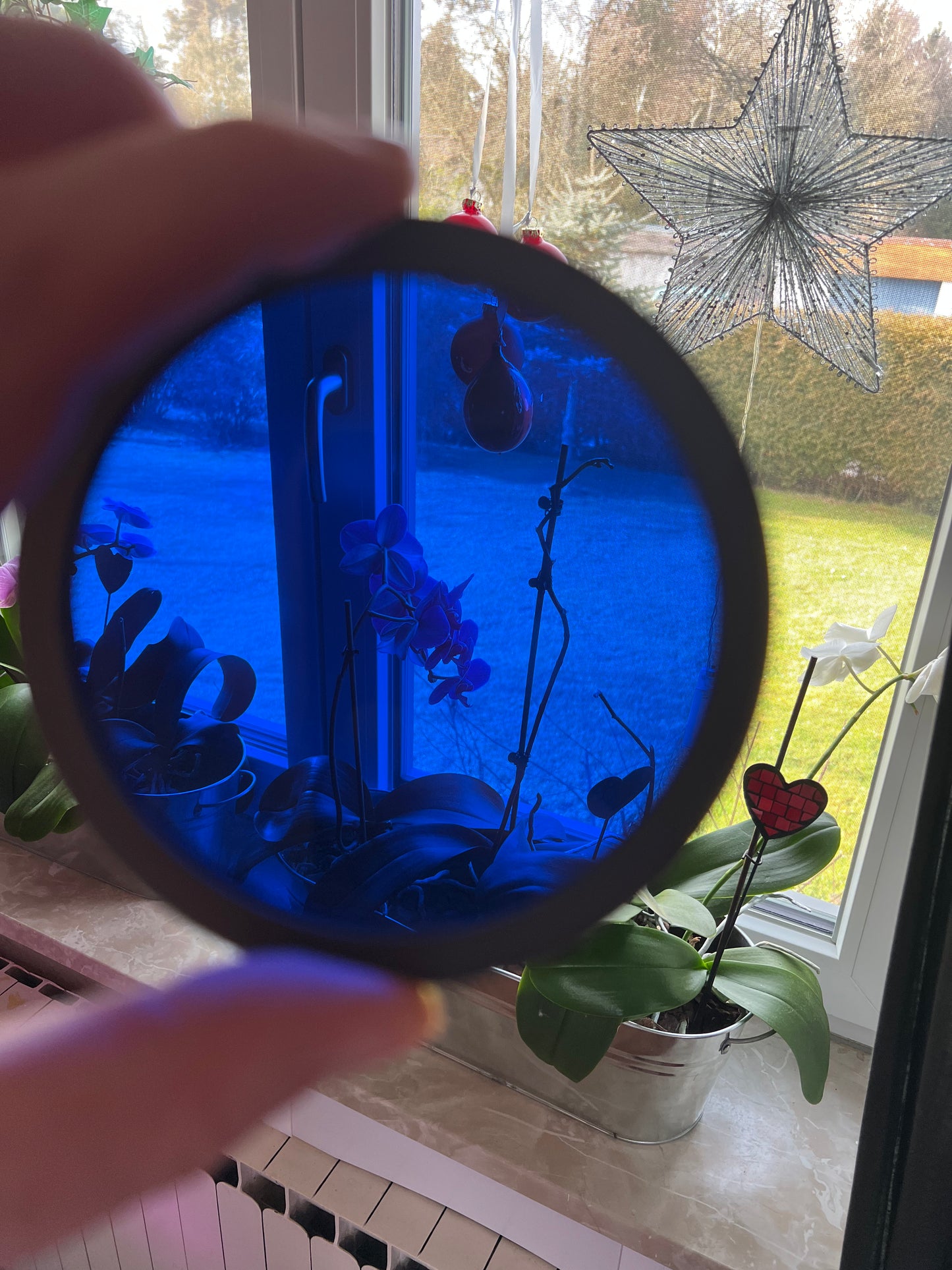 Lenses S10/FM12 Transparent / Colored